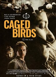 ���� �� ����� ��� �� ����� �������� (2020)