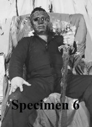 ������� � 6 (2020)