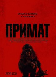 ������ (2025)