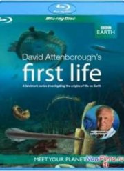 BBC: ������ ����� (2010)