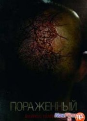 ���������� (2013)