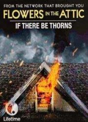 ������ ������ (2015)