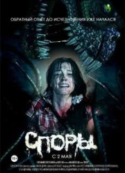 ����� (2011)