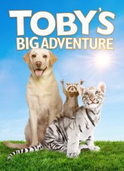 ������� ����������� ���� (2020)