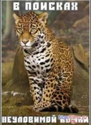 � ������� ���������� ����� (2011)