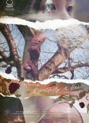 � ���������� �� �������� (2024)