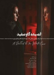 ������� � ����� ������ (2020)