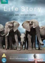 ������� ����� (2014)