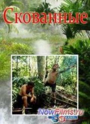 ��������� (2014)