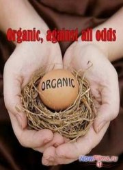 ����� �� �������� (2011)