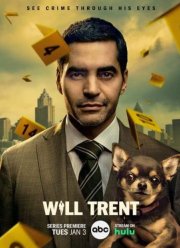 ���� ����� (1-3 �����)