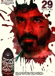 ����, ���������� � ���� (2019)