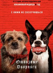 �������� �������� (2023)