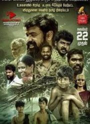 ������ (2025)