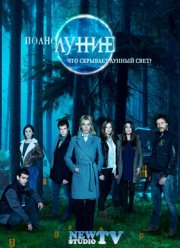 ���������� (2012-2013)