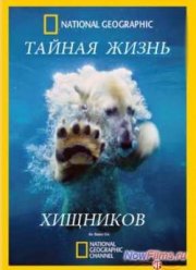 ������ ����� �������� (2013) 1,2,3,4 �����