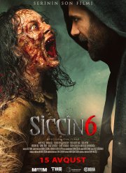 ������ 6 (2019)