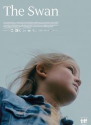 ������ (2017)