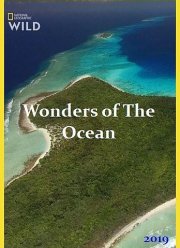 ������ ������ (2019)