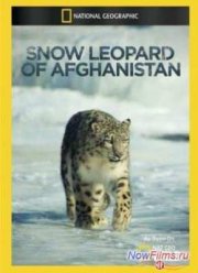 �������� ������� ���� ����������� (2012)