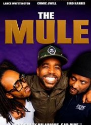 ����������� (2020)