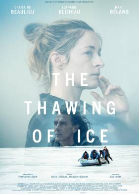 ������ ���� (2024)