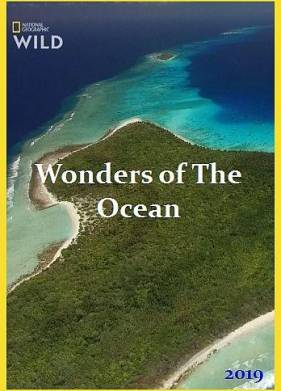 ������ ������ (2019)