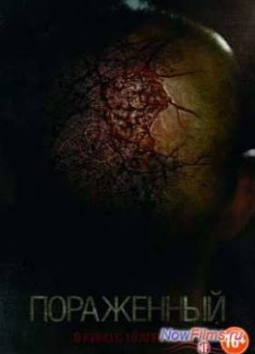 ���������� (2013)