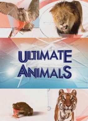 ������������� �������� (2015)