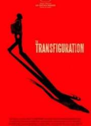 �������������� (2016)